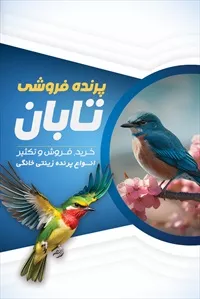 تصویر 3