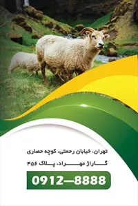 تصویر 2