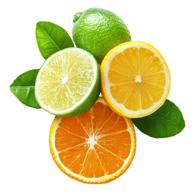 عکس دوربری ترکیب تازه از میوه های مرکبات شامل پرتقال، لیمو، لیمو ترش و برگه‌موت روی پس‌زمینه شفاف