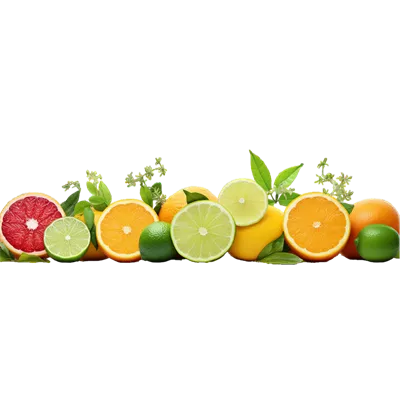 عکس دوربری مجموعهای از میوههای مرکبات با برگهای سبز بر روی آنها