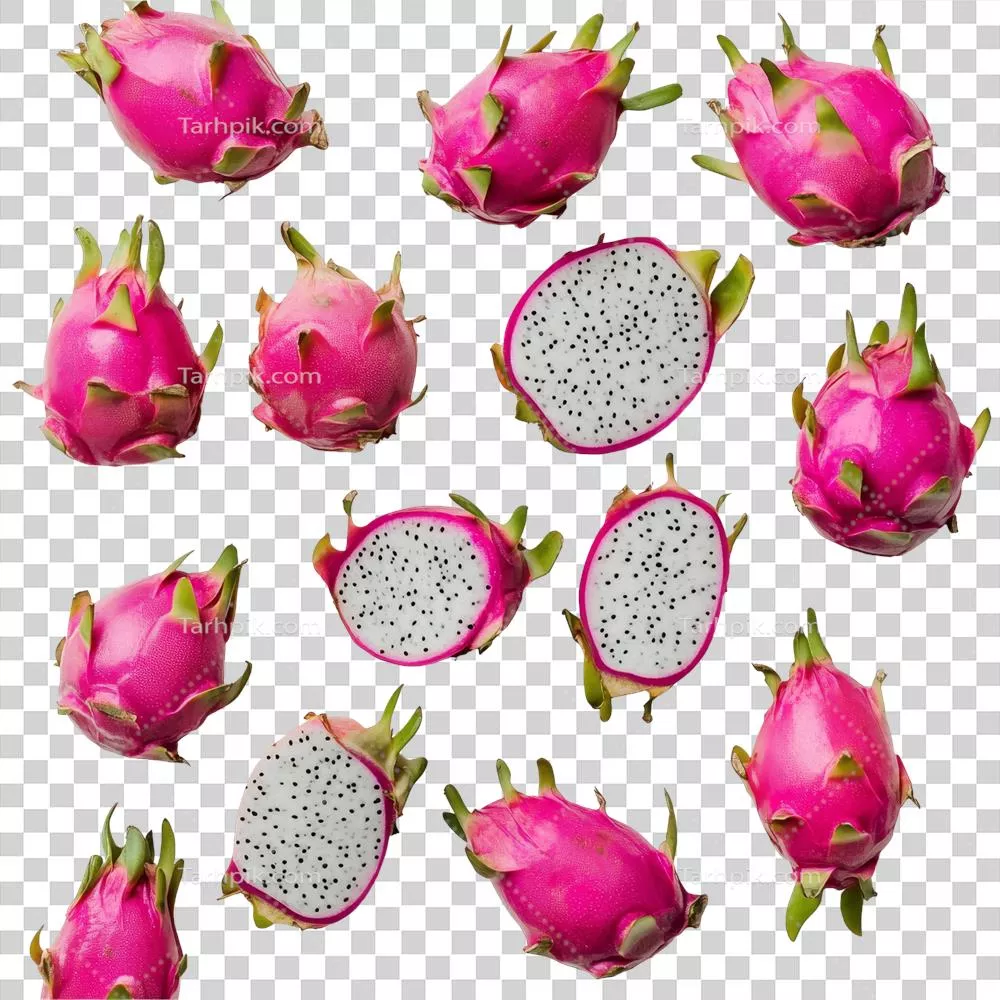 عکس دوربری طراحی زیبا و روشن میوه دراگون فروت بر روی پس زمینه شفاف با رنگ های زنده و بافت های منحصر به فرد