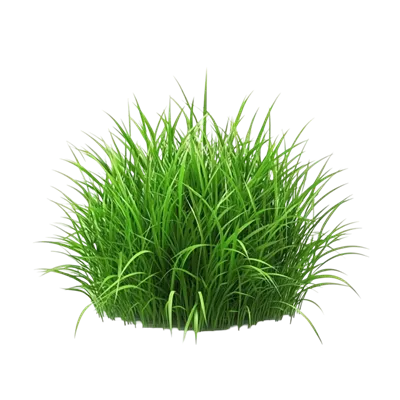 عکس دوربری چمن سبز واقعی و گل‌بوته‌ای طبیعی با جزئیات دقیق