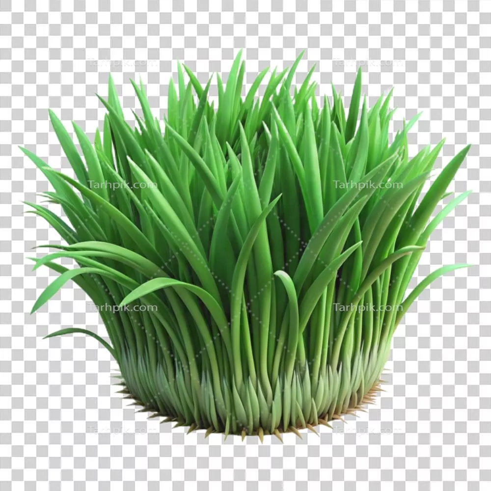 عکس دوربری بافت چمن سبز ونساجی بینظیر با کیفیت بالا به صورت نزدیک و ایزوله