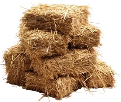 عکس دوربری تصویر حرفه‌ای تولید شده توسط هوش مصنوعی از کاه و فشرده در میدان