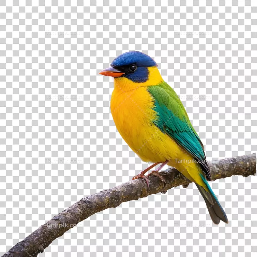 عکس دوربری پرنده تکافتاده و زنده خزیده بر درخت، تولید شده با هوش مصنوعی