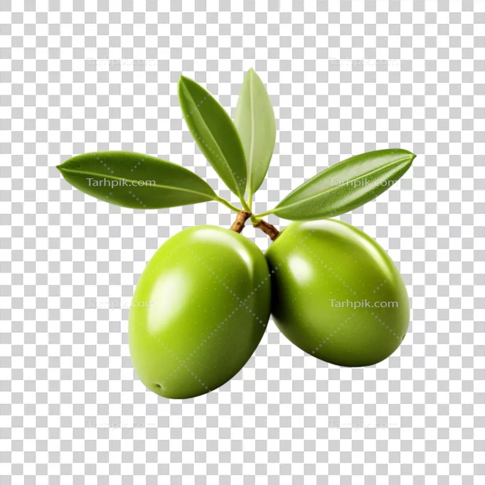عکس دوربری زیتون سبز روی پسزمینه شفاف و با کیفیت بالا