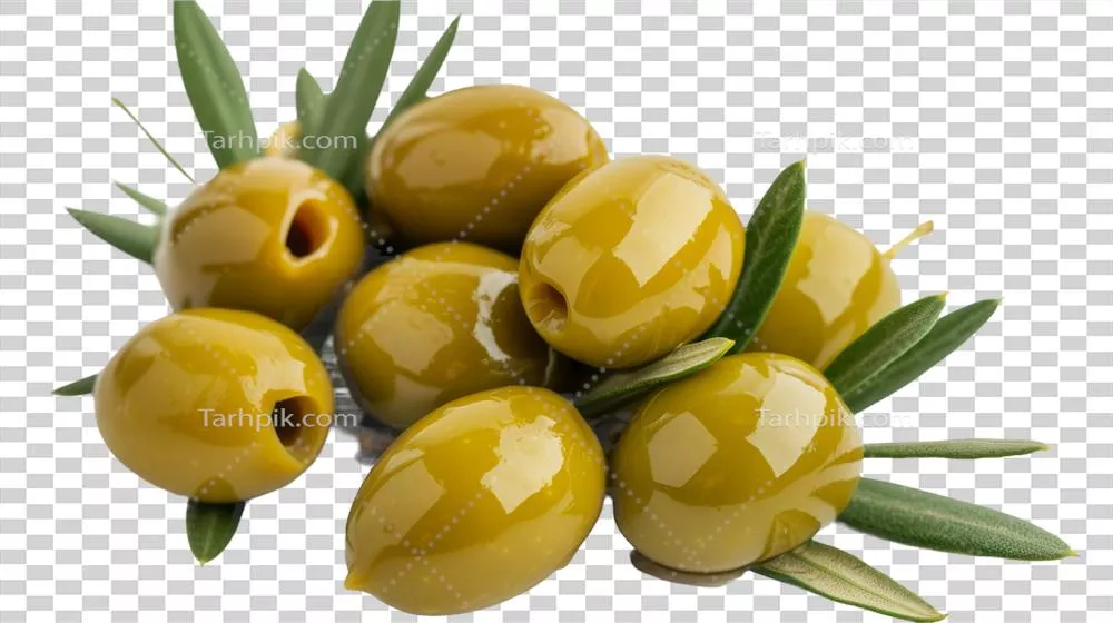 عکس دوربری طرح شگفتانگیز شاخ و برگ زیتون سرسبز بر روی پسزمینه شفاف