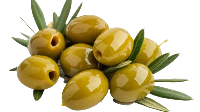 عکس دوربری طرح شگفتانگیز شاخ و برگ زیتون سرسبز بر روی پسزمینه شفاف