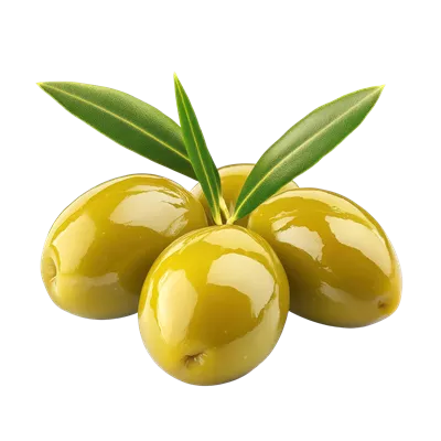 عکس دوربری زیتونهای تازه و سبز با برگهای خود بر روی زمینه سفید برای استفادههای آشپزی و تزئینات