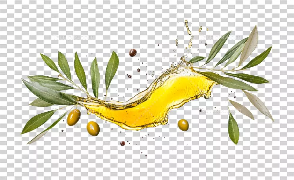 عکس دوربری روغن زیتون تازه با شاخه های سبز و زیتون های رسیده در یک تصویر زیبا