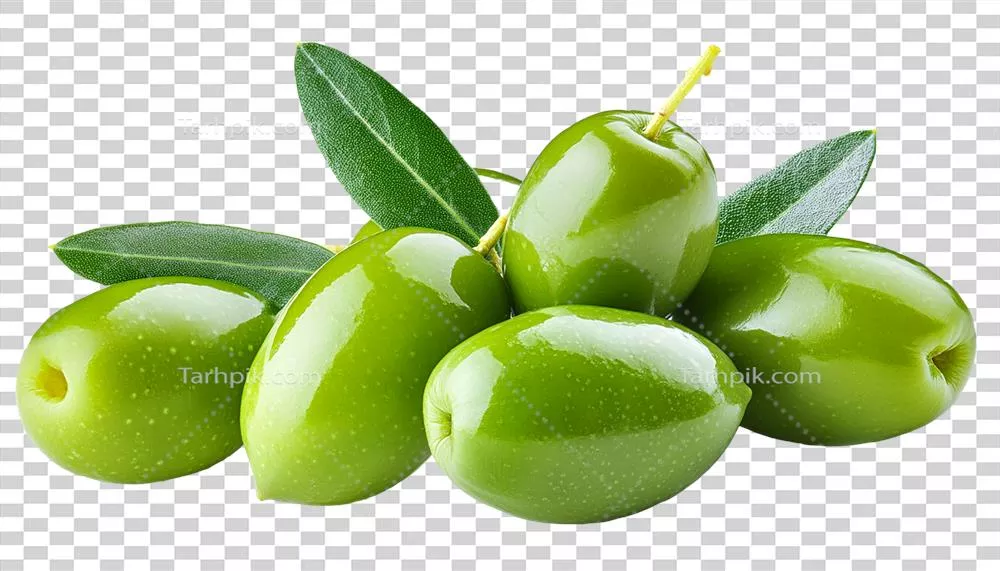 عکس دوربری زیتون های تازه با برگ ها بر روی پس زمینه سفید