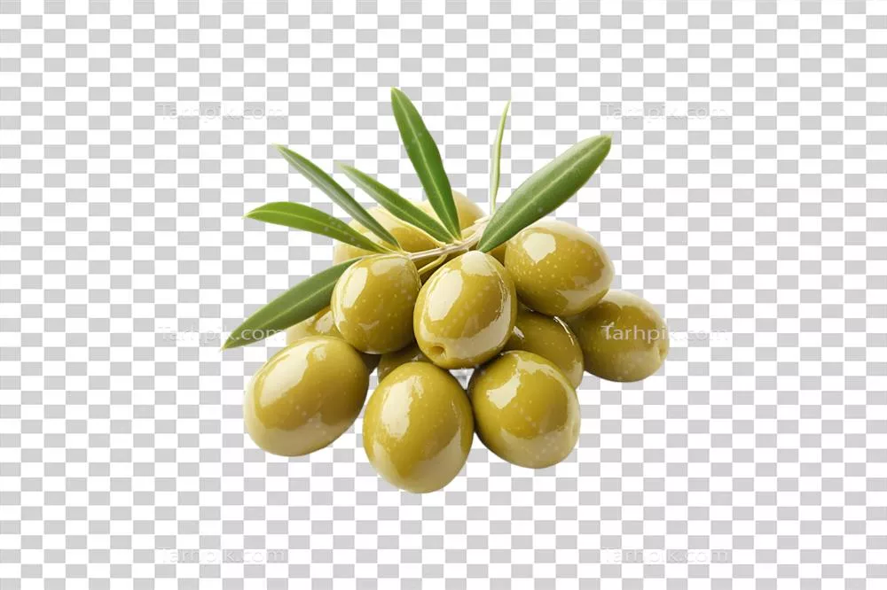 عکس دوربری