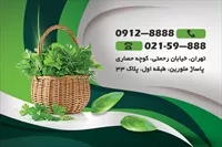 تصویر 2