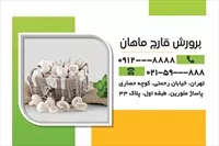 تصویر 2