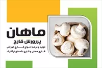 تصویر 3