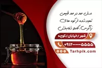 تصویر 2