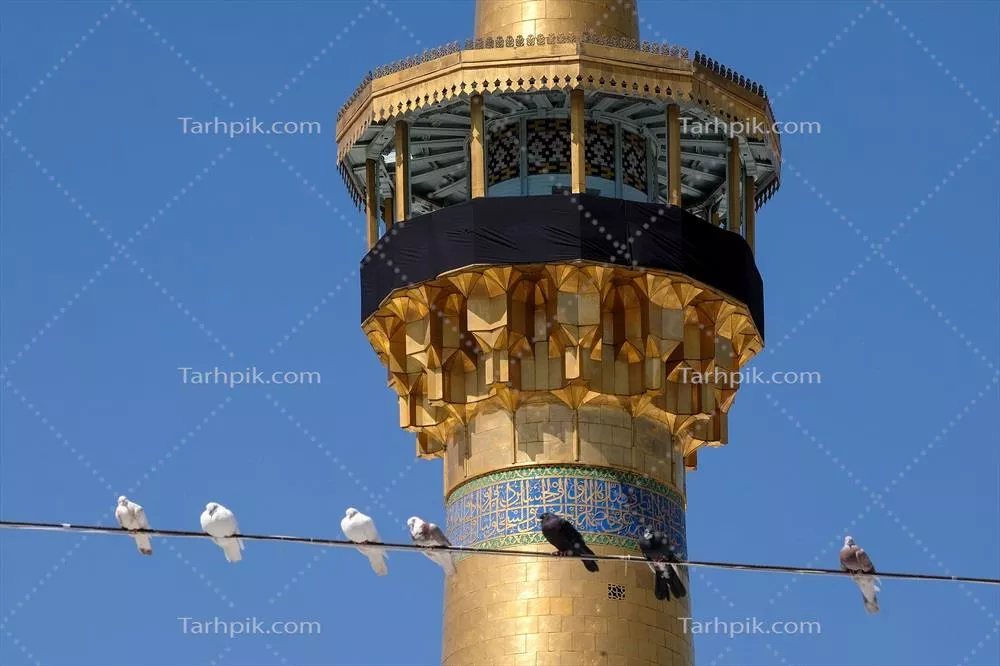 عکس کبوتر ها و گلدسته حرم مطهر رضوی