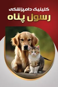 تصویر 3
