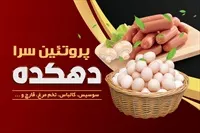 تصویر 2