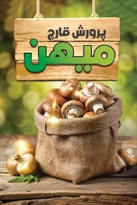 تصویر 3