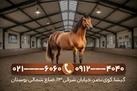 تصویر 2