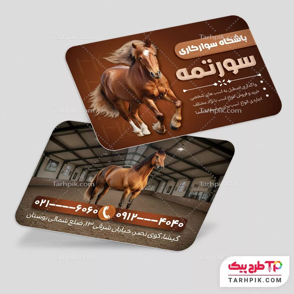 کارت ویزیت خلاقانه باشگاه سوارکاری