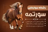 تصویر 3