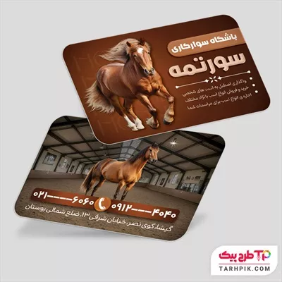 کارت ویزیت خلاقانه باشگاه سوارکاری