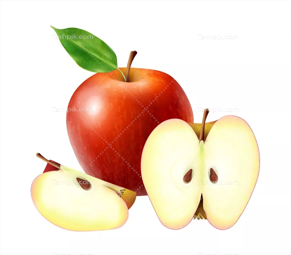 وکتور ترکیب واقعی میوهها با تصاویر سیب کامل و برشخورده بر روی پسزمینه خالی