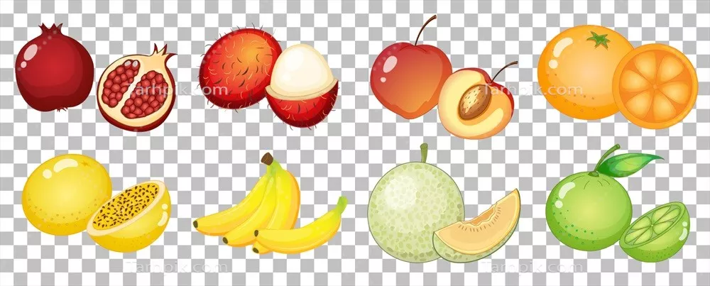 وکتور مجموعه ای از میوه های مختلف و جدا شده برای استفاده در طراحی