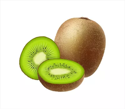 وکتور کیوی واقعی برش خورده با پس زمینه خالی و ساده