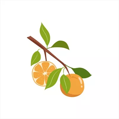تصویر وکتور از شاخه پرتقال با طراحی رنگی ساده و مسطح