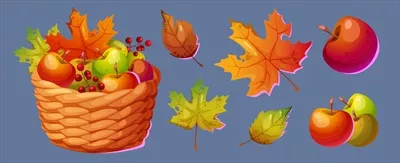وکتور سبد میوه سیب همراه برگ پاییزی