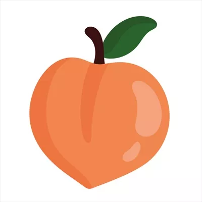 وکتورهلو با پس زمینه سفید برای طراحی