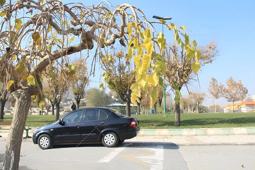 عکس خودرو تیبا روی دست انداز