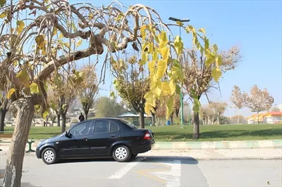 عکس خودرو تیبا روی دست انداز