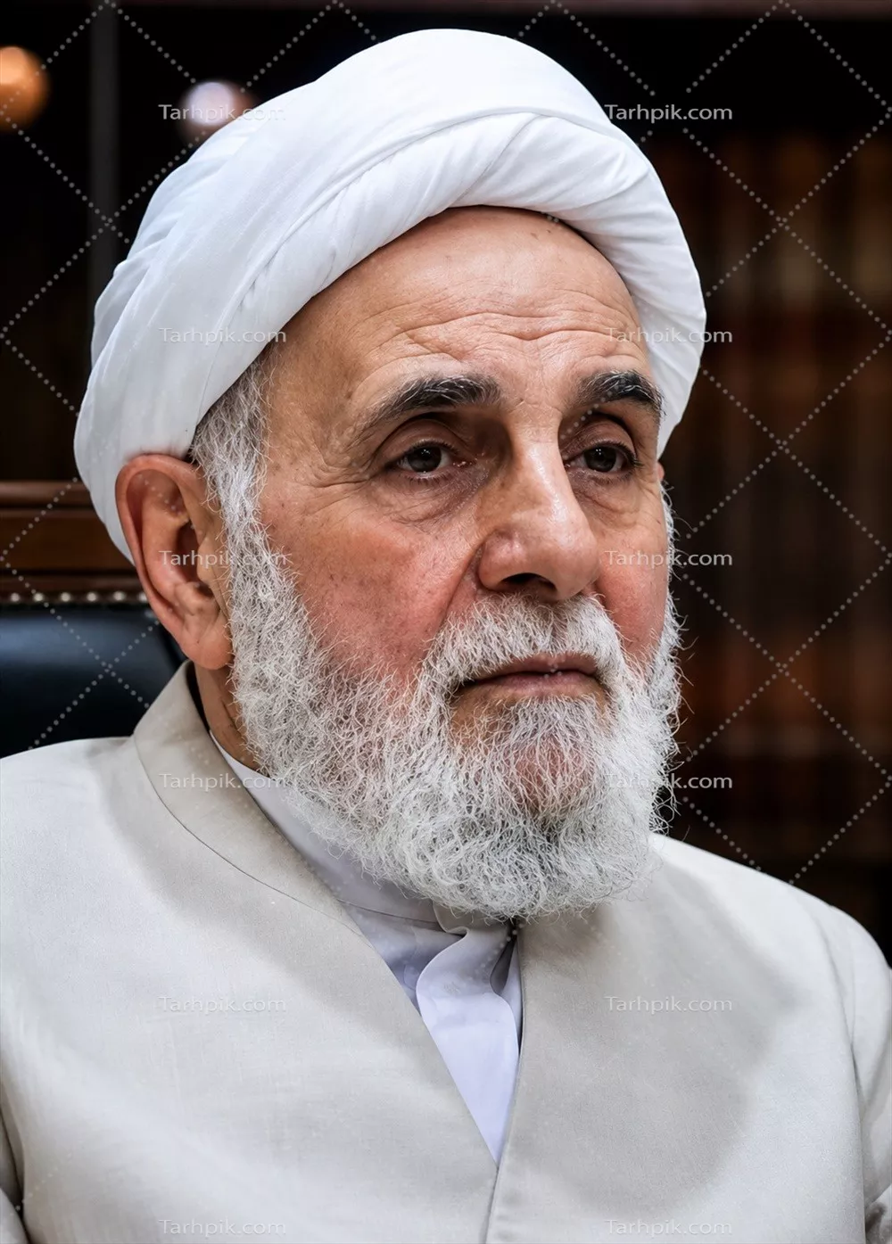 عکس اکبر ناطق نوری
