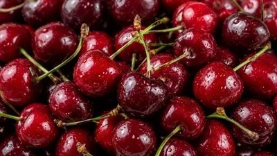 عکس گیلاس با کیفیت