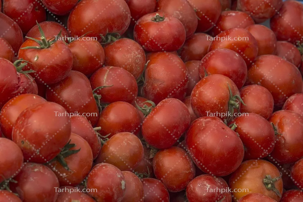 عکس گوجه فرنگی های رسیده: خواص و کاربردهای آن در غذا