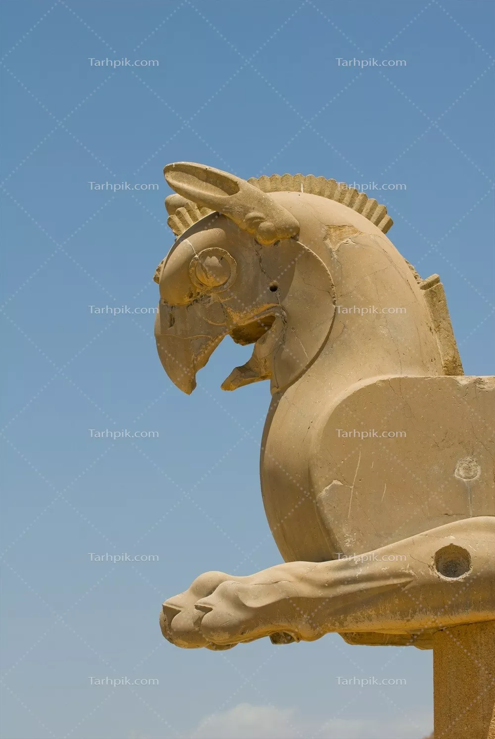 عکس مجسمه شیردال تخت جمشید با تاریخ و فرهنگ ایران
