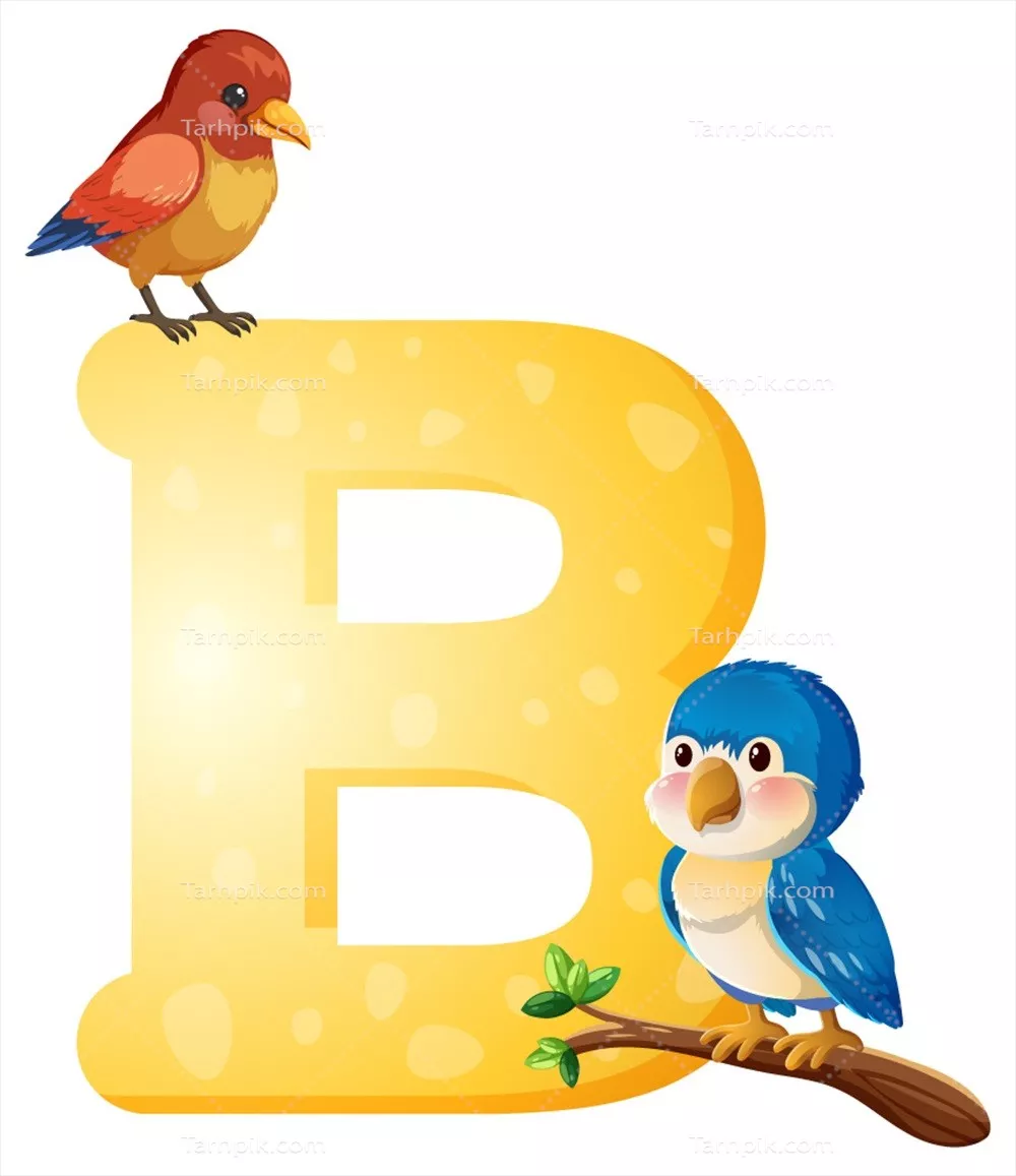 وکتور دو پرنده رنگارنگ با حرف بزرگ زرد B