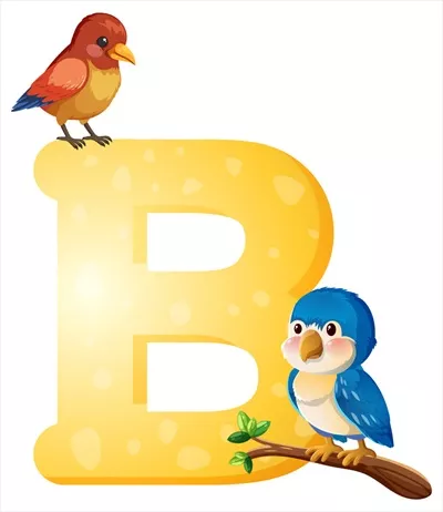 وکتور دو پرنده رنگارنگ با حرف بزرگ زرد B