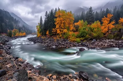 عکس رودخانه پاییزی، زیبایی طبیعت در فصل خزان