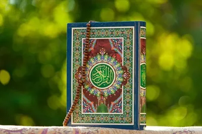 عکس قرآن ایستاده در نمای درختان زیبا