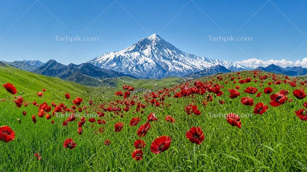عکس دماوند و دشت گل های لاله، زیبایی های طبیعی ایران